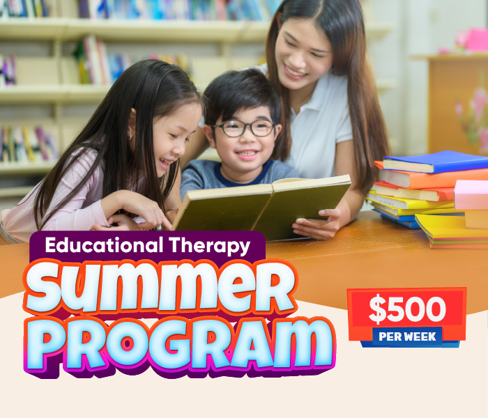 Educational Therapy Summer Program in Singapore